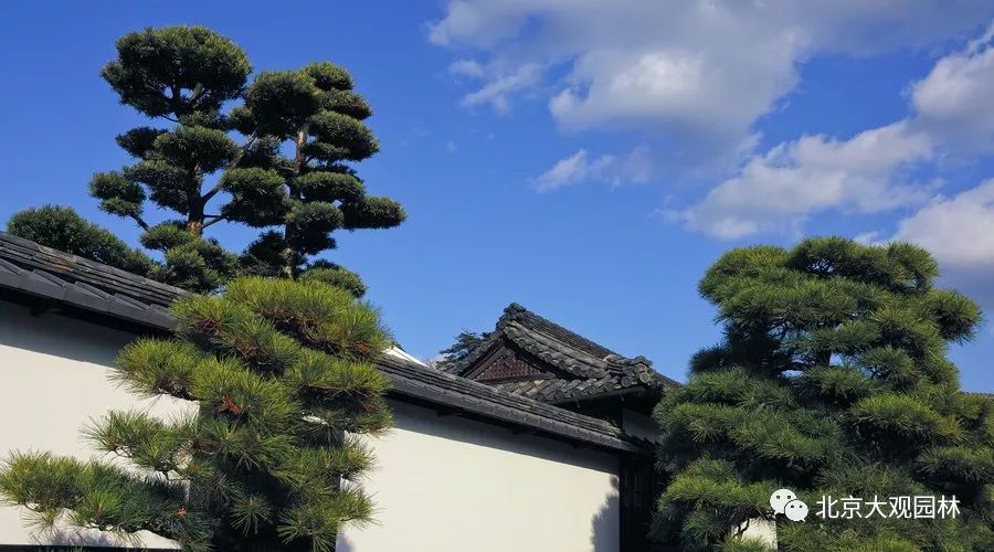 浅谈庭院“风水”布局之围墙的神秘感