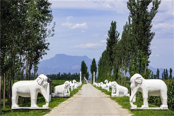 看坟地风水_坟地风水_农村坟地好风水怎么看