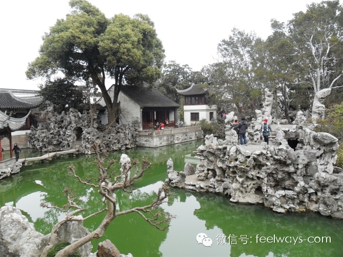 园林树种应用_狼尾草的园林应用_风水学园林设计应用