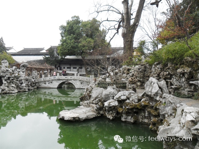 风水学园林设计应用_园林树种应用_狼尾草的园林应用