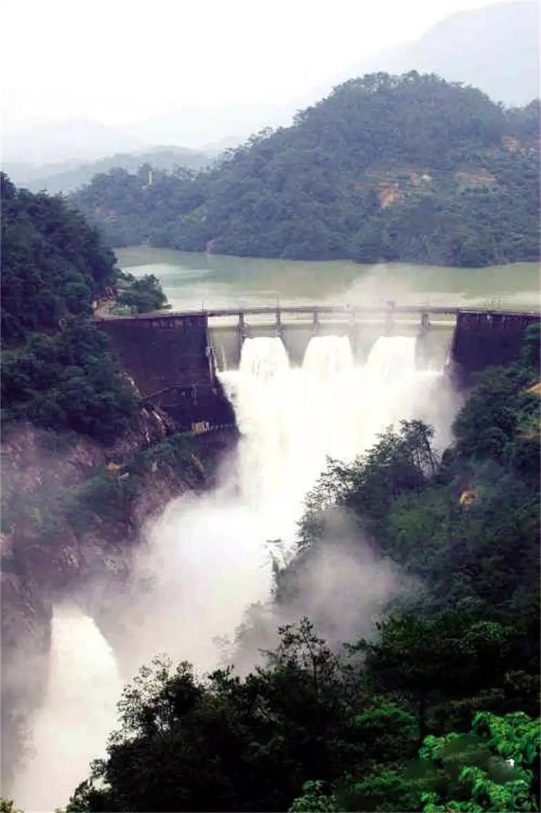 狗守大门整日闲打一肖_龟地风水风水墓地大全_狮子守大门风水宝地