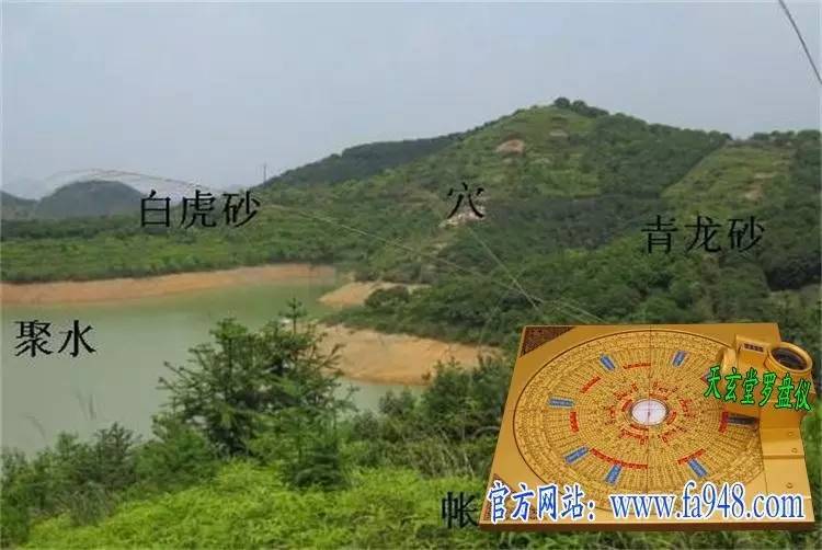 狮子守大门风水宝地_龟地风水风水墓地大全_狗守大门整日闲打一肖