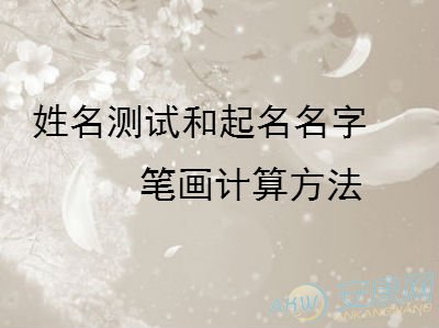 生辰起名网免费 取名_查生辰八字取名_生辰查八字