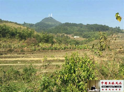 巨富祖坟风水_发巨富坟山风水案例_毛泽东祖坟风水