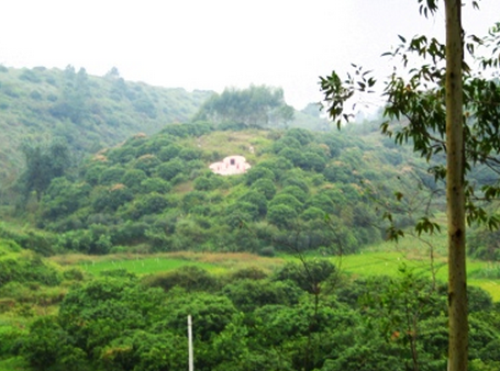 如何看坟墓风水宝地