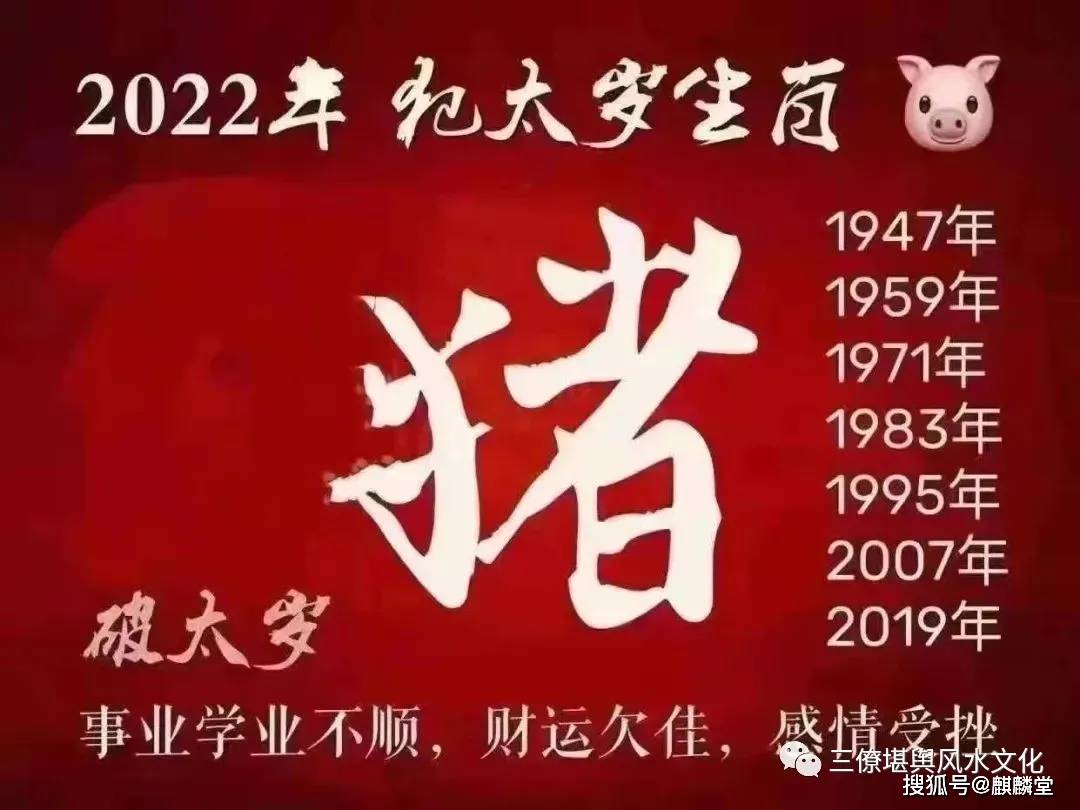 属猪的今年多大了_属鼠的今年多大_属马的今年多大