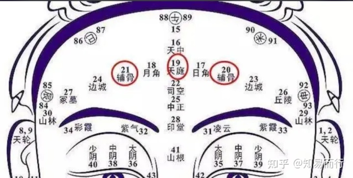 运程预测 八字_预测八字软件_八字另一半长相预测