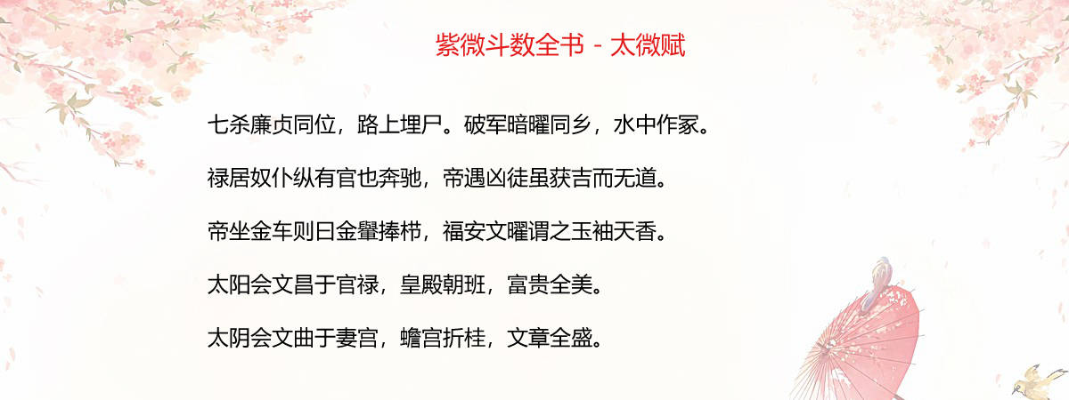 紫薇斗数 合婚_紫薇斗数夫妻宫七杀_紫薇斗数预测视频