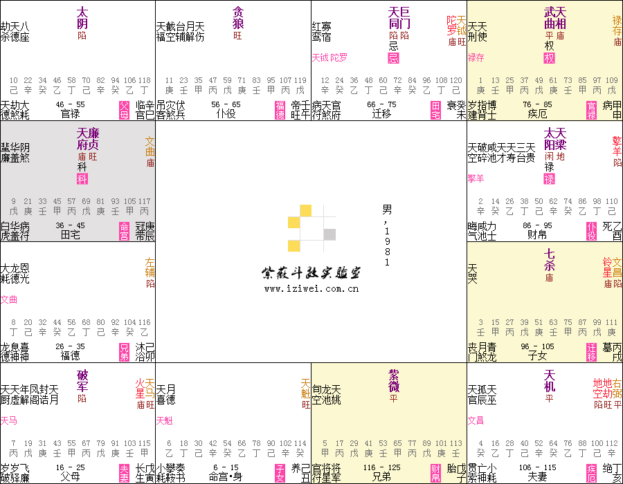 紫薇斗数看适合在外打拼的命盘_紫薇斗数禄忌对宫_疾厄宫化禄夫妻宫化忌