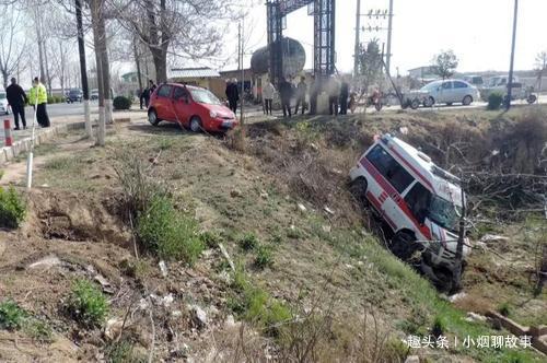 院內狗窝的摆放风水_中国风水研究院_北京印刷学院研究生吧