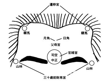 紫薇天府在官禄宫适合做生意么_什么生意适合带孩子做_父母宫化禄入厄疾宫