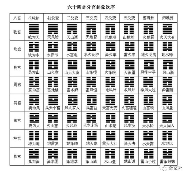 八字命理知识_道明八字命理_新派命理八字排盘软件