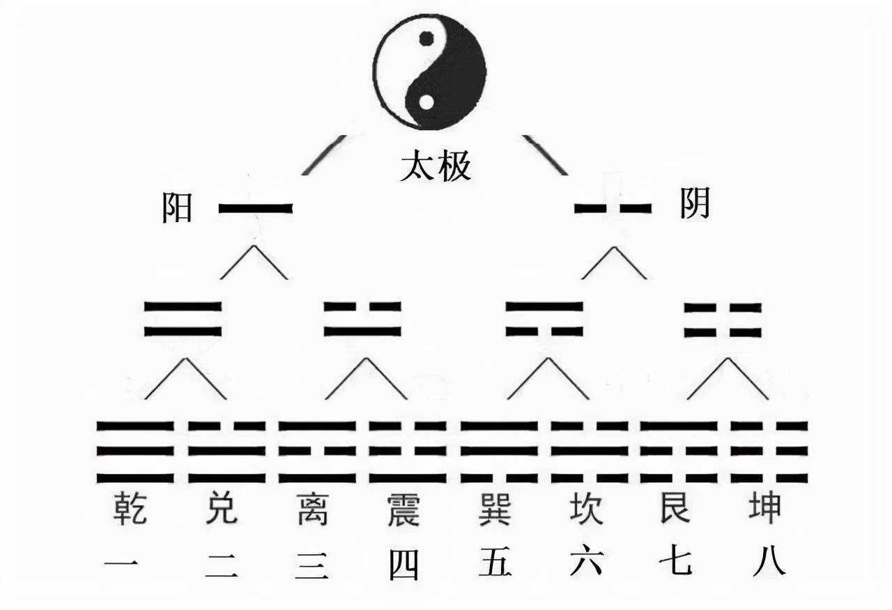 新派命理八字排盘软件_八字命理知识_道明八字命理