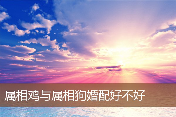 男属狗,女属猪的生几月羊宝宝好_属鸡狗的夫妻生什么宝宝_属羊和属蛇的夫妻生什么属相的宝宝