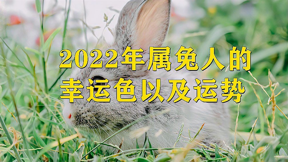 2019年兔人运程1987年_2023年运势及运程_1987属兔2023年的运势及运程