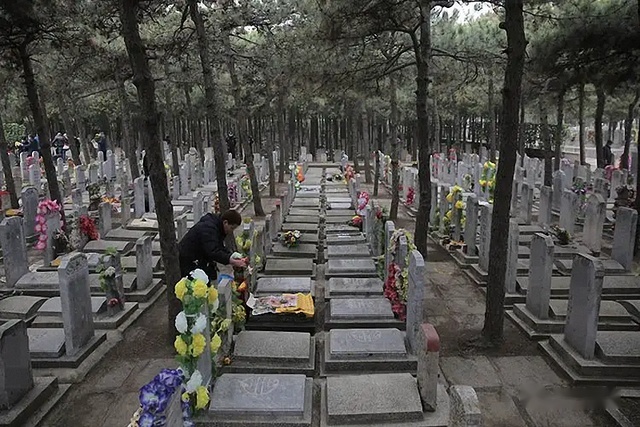 面對市場亂象,2005年,北京市政府決定重新規劃八寶山革命公墓陵園