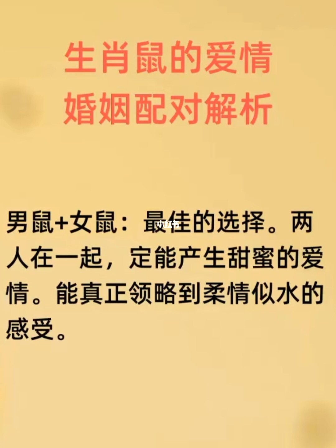 属鼠和属鼠的婚配好吗_魔域偷天鼠好还是炎舞鼠好_属鸡的和属狗的婚配好不好