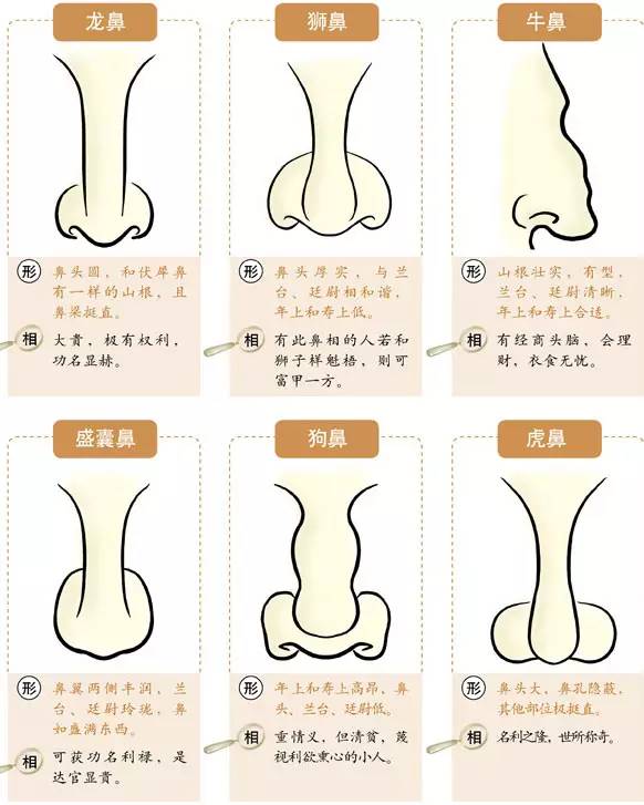 看面相鼻子漏孔不聚财吗_鼻子歪 面相_聚财的面相