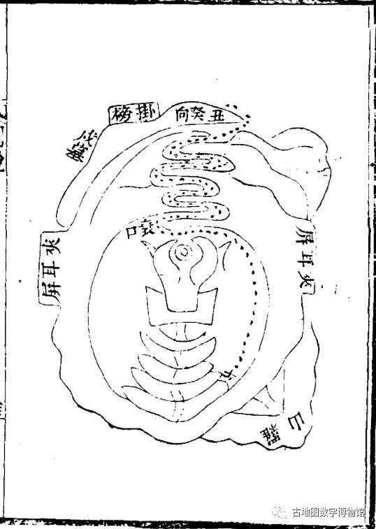 龟形地风水葬在哪儿好_葬风水宝地什么时候见效_广西桂平未葬风水大地