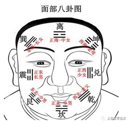 人体面相十二宫图解_面相纹路图解大全图解_易学面相算命图解耳形 面相十二宫 脸部皱纹