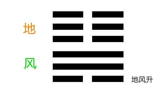 梅花排盘app_易数梅花数字排盘_八字排盘 99梅花