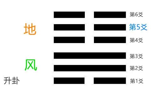 易数梅花数字排盘_八字排盘 99梅花_梅花排盘app