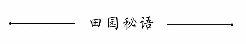 一下的人有哪些非常明显的人生高潮期和人生的低潮期