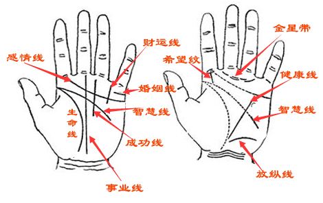 相学入门阅读_相学入门书籍_李计忠周易相学入门