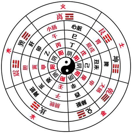 太极四象八卦图_无极太极两仪四象八卦_太极二仪四象八卦四季关系