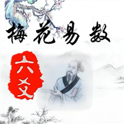 易卦择日透解六十四卦配洛数_六爻梅花易卦例精解pdf_梅花易数排盘解卦软件