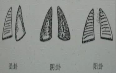 泰卦变临卦姻缘_临卦无忧解千愁_六爻64卦解卦