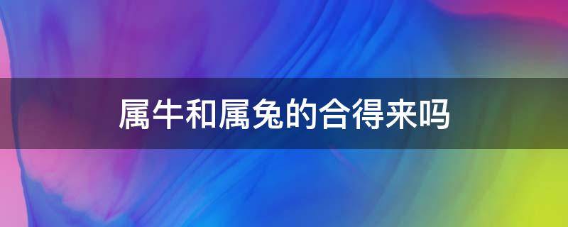 属兔和属鸡相配_女猴男兔属相配指数_男兔女鸡婚姻是否相配