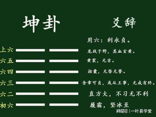 曾仕强解卦详解视频_金钱爻卦卦象详解_解卦第二爻婚姻详解