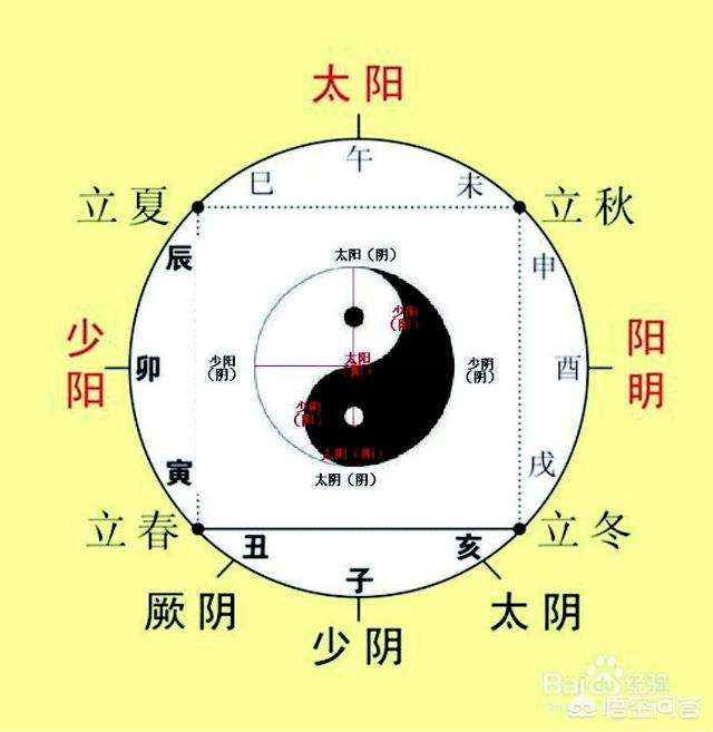 五行阴阳传txt_武侠q传五行阴阳阵_阴阳五行是什么教