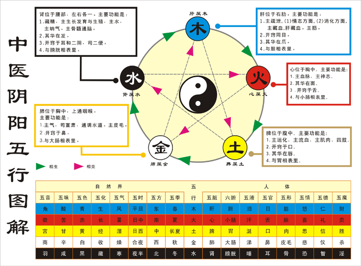 武侠q传五行阴阳阵_五行阴阳传txt_阴阳五行是什么教