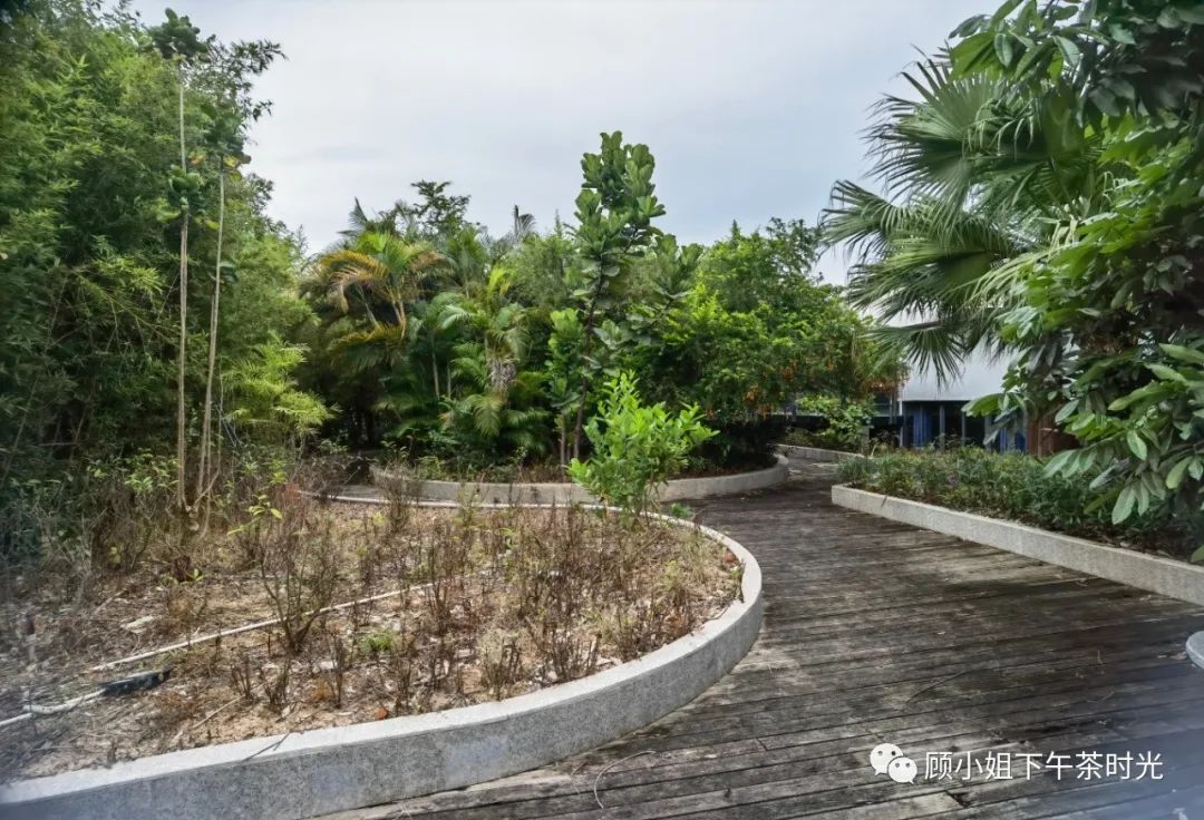 别墅地下室建泳池风水_屋顶泳池怎么建_泳池用地下水水变黄