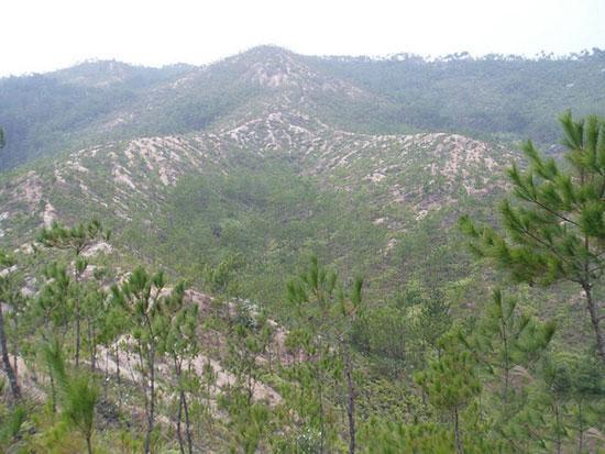 农村看坟地风水怎么看_农村坟地风水图片 图_农村看坟地风水怎么看