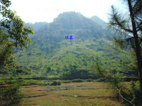 坟地风水风水知识墓地风水分析风水是一门科学,一个