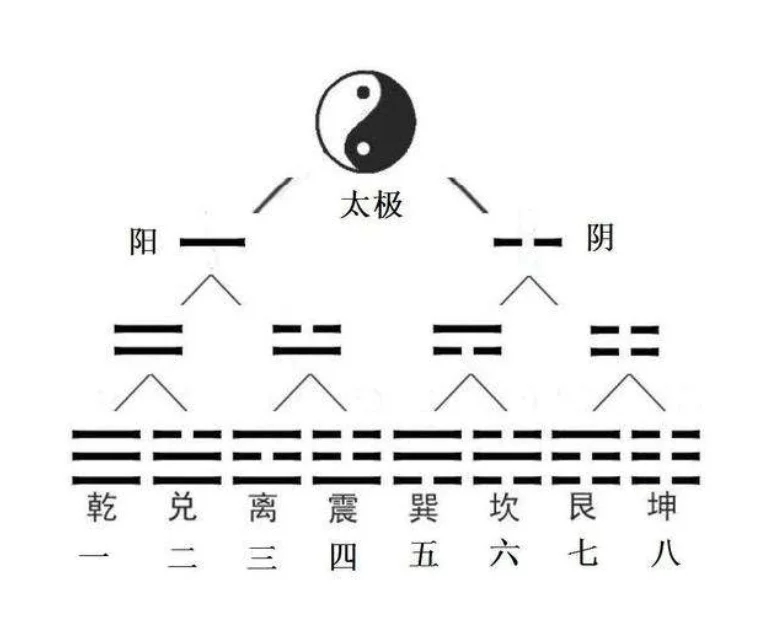 赵红梅无极道_无极剑圣穿越异界 逆袭青年 小说_道与无极界