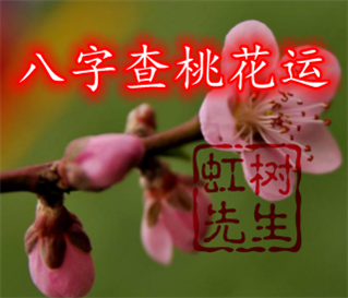 生辰查八字_生辰测八字_生辰八字里的厄是什么意思