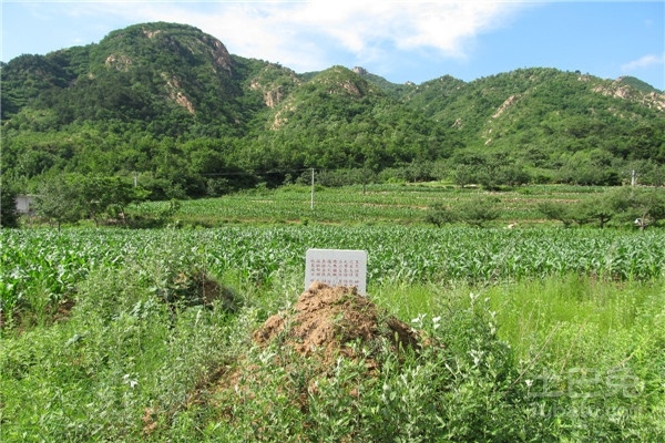 名人农村坟地风水图片_农村坟地风水大全_小区附近有坟地风水怎么样