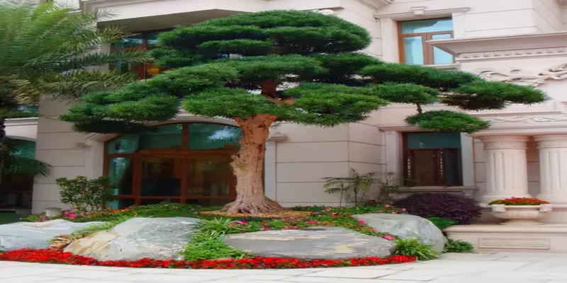 家里庭院种什么植物风水好又旺财_庭院植物风水_庭院风水 植物