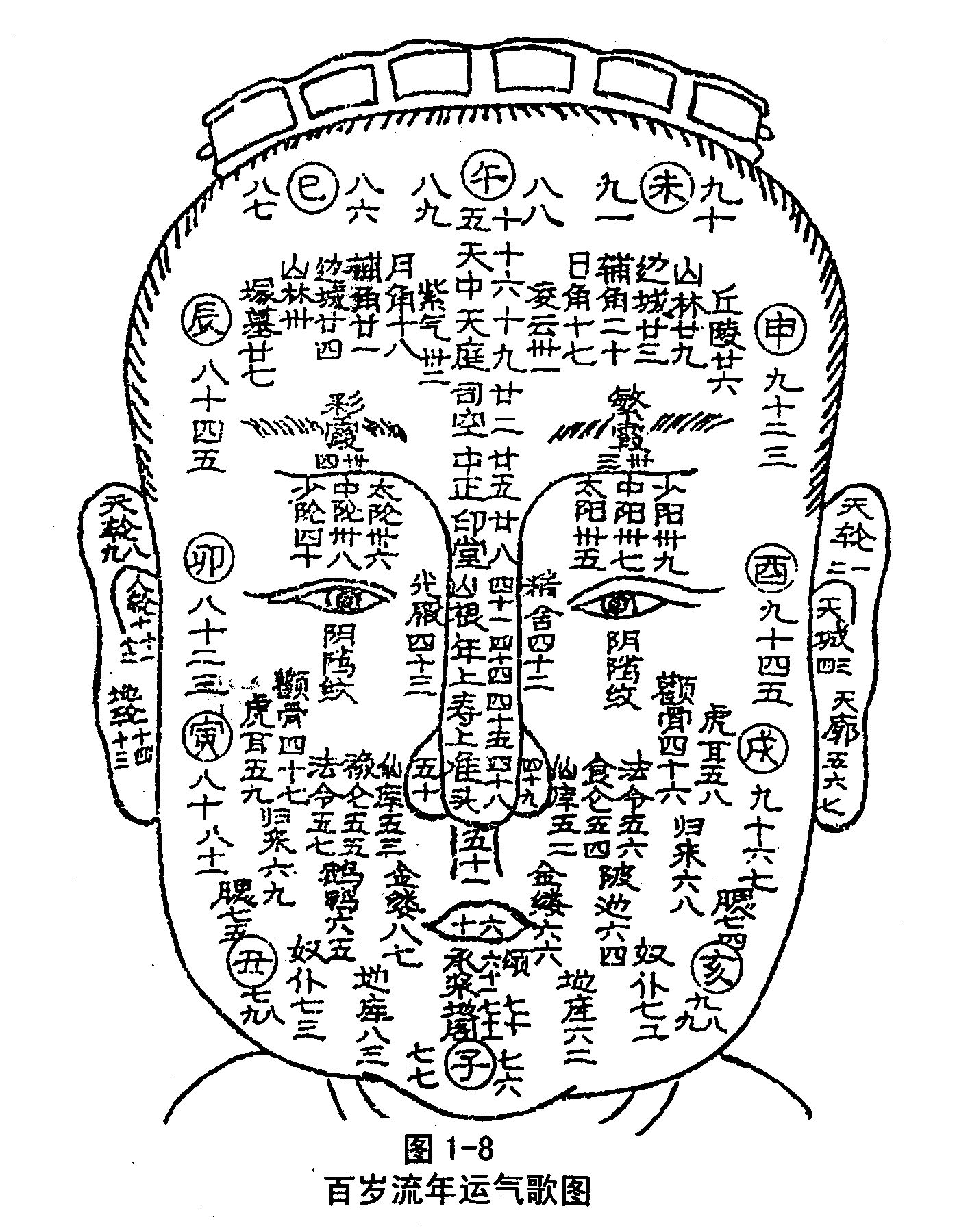 颧骨高的女人面相_颧骨面相学图片_男人颧骨高面相