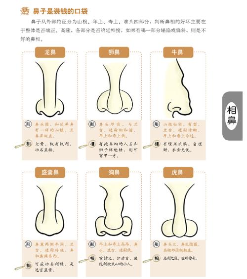 男人颧骨高面相_颧骨高的女人面相_颧骨面相学图片