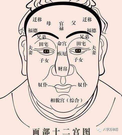 相学_大相学_周易手相学