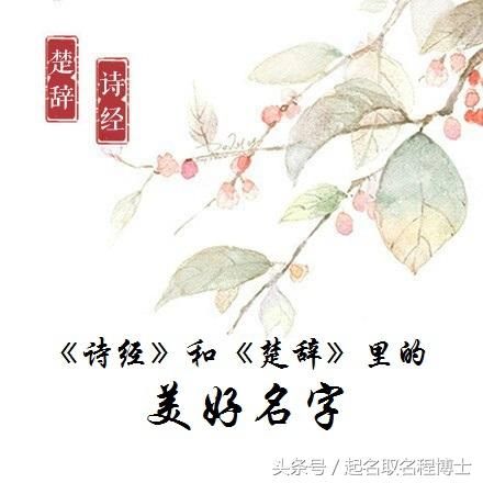 马年女宝宝诗经起名_女宝宝起名诗经楚辞唐诗_起名诗经楚辞