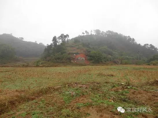 古代状元祖坟风水传说_历代状元祖坟风水_祖坟风水影响几代人