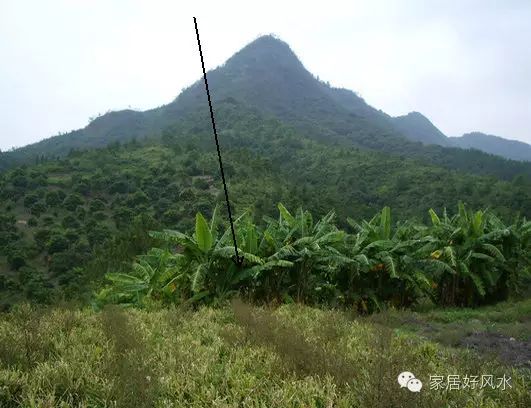 祖坟风水影响几代人_历代状元祖坟风水_古代状元祖坟风水传说