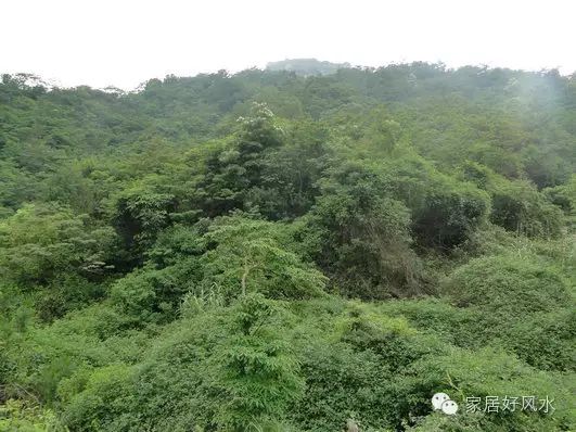 历代状元祖坟风水_祖坟风水影响几代人_古代状元祖坟风水传说