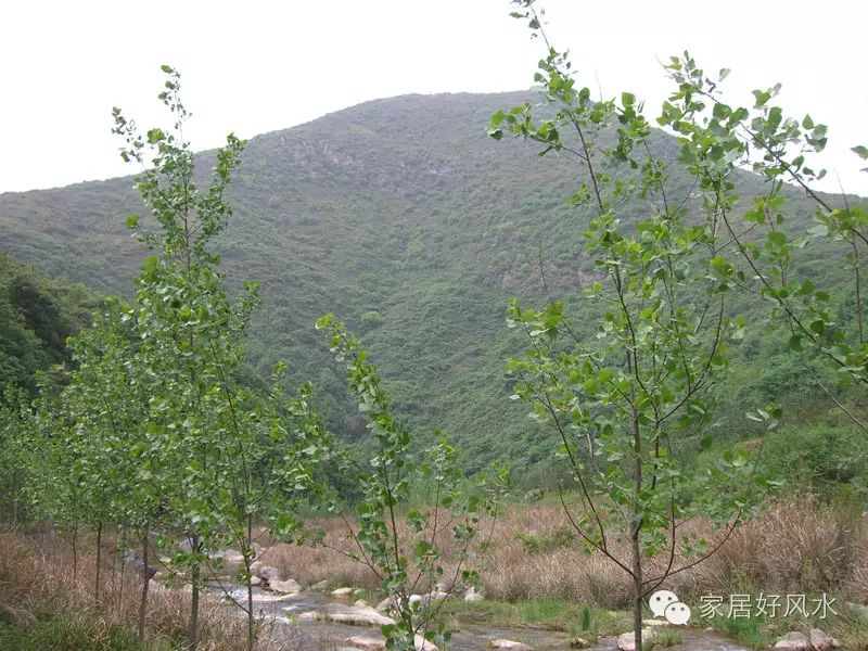 祖坟风水影响几代人_古代状元祖坟风水传说_历代状元祖坟风水